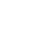 secure-icon